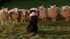 Babe-movie-clip-screenshot-tell-me-what-happened_thumb