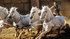 Ben-hur-movie-clip-screenshot-chariot-race_thumb