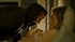 Fun-with-dick-and-jane-movie-clip-screenshot-stealing-solution_thumb