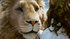 Narnia-the-voyage-of-the-dawn-treader-movie-clip-screenshot-another-name_thumb
