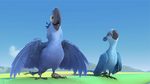 Watch the movie clip "Learn to Fly Trailer" from "Rio"