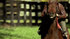 Seabiscuit-movie-clip-screenshot-how-to-be-a-horse_thumb