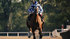 Secretariat-movie-clip-screenshot-making-of-a-champion_thumb