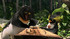 Surfs-up-movie-clip-screenshot-making-the-board_thumb