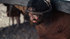 The-gospel-of-mark-movie-clip-screenshot-led-to-the-cross_thumb