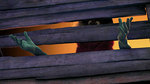 Watch the movie clip "Plant The Seed " from "The Lorax"