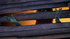 The-lorax-movie-clip-screenshot-plant-the-seed_thumb