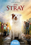 The Stray