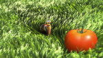 Watch the movie clip "What Were You Thinking?" from "Turbo"